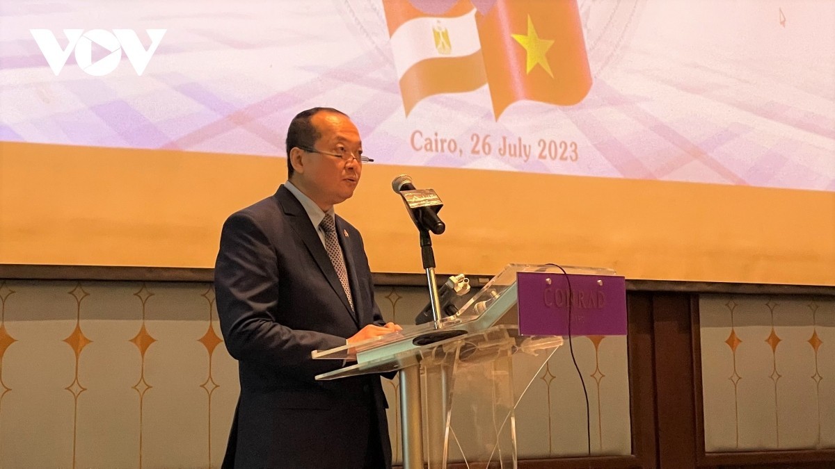 Vietnamese Ambassador to Egypt Nguyen Huy Dung. Photo: vov.vn Vietnamese Ambassador to Egypt Nguyen Huy Dung. Photo: vov.vn