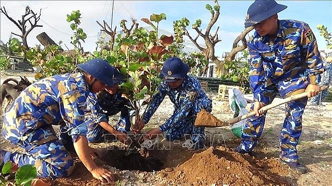 Improving Living Environment on Islands to Green Up Truong Sa Truong Sa Benefits From Tree Planting Program