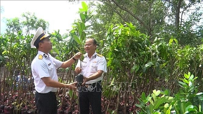 Improving Living Environment on Islands to Green Up Truong Sa Truong Sa Benefits From Tree Planting Program