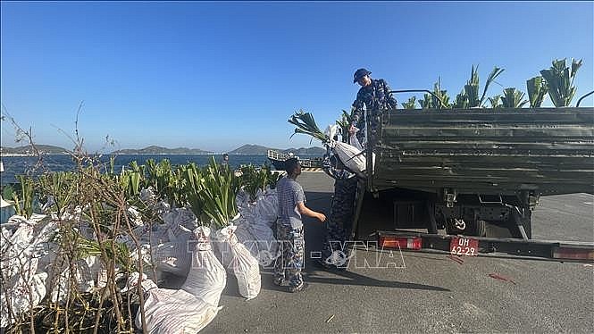 Improving Living Environment on Islands to Green Up Truong Sa Truong Sa Benefits From Tree Planting Program