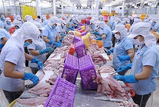 The EU-Vietnam Free Trade Agreement (EVFTA) has generated positive results, according to Dr. Daniel Müller. (Photo: VNA) The EU-Vietnam Free Trade Agreement (EVFTA) has generated positive results, according to Dr. Daniel Müller. (Photo: VNA)