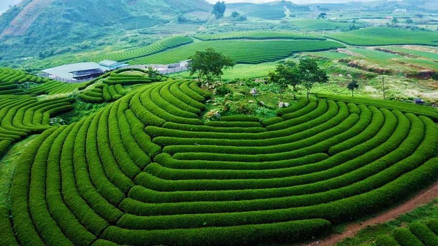 Moc Chau, Cuc Phuong National Park Honored At World’s Travel Awards 2023 Moc Chau, Cuc Phuong National Park Honored At World’s Travel Awards 2023