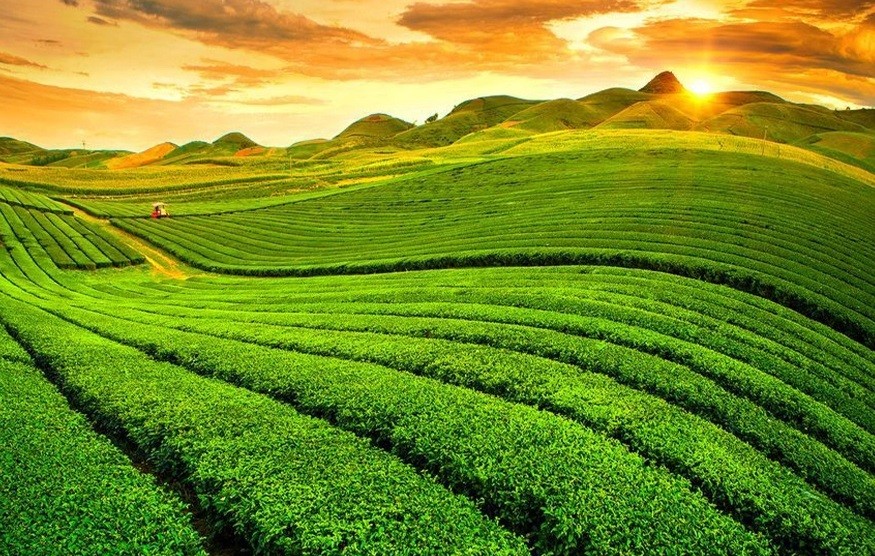 Moc Chau, Cuc Phuong National Park Honored At World’s Travel Awards 2023 Moc Chau, Cuc Phuong National Park Honored At World’s Travel Awards 2023