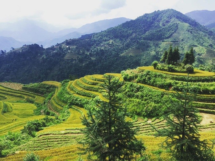 Explore The Wild Beauty Of Si Ma Cai In Lao Cai Explore The Wild Beauty Of Si Ma Cai In Lao Cai