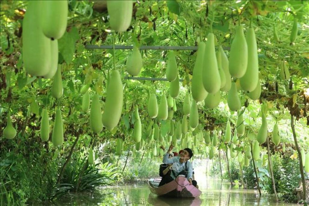 More and Better-targeted Green Investments for People, Planet and Prosperity More and Better-targeted Green Investments for People, Planet and Prosperity