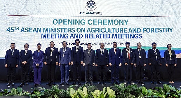 Delegates to the meeting in a group photo. (Photo: VNA) Delegates to the meeting in a group photo. (Photo: VNA)