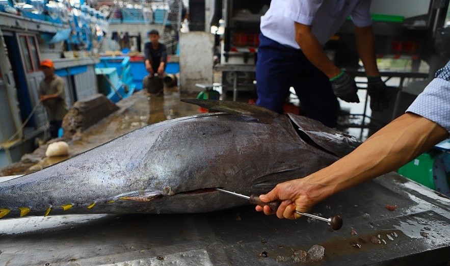 Khanh Hoa Exports to Japan Reaches US$111 Million Khanh Hoa Exports to Japan Reaches $111 Million