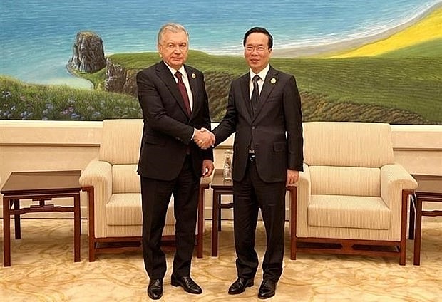 President Vo Van Thuong (R) and Uzbek President Shavkat Mirziyoyev (Photo: VNA) President Vo Van Thuong (R) and Uzbek President Shavkat Mirziyoyev (Photo: VNA)