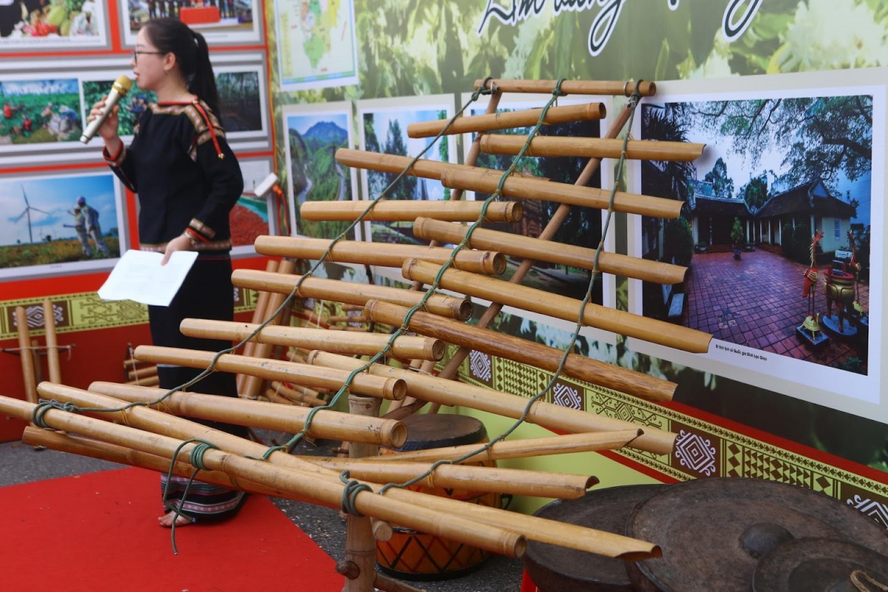 Cultural Heritage Week Promote National Great Solidarity