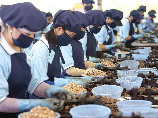 Promote Vietnamese Agricultural Products in Middle East-North Africa Region Promote Vietnamese Agricultural Products in Middle East-North Africa Region