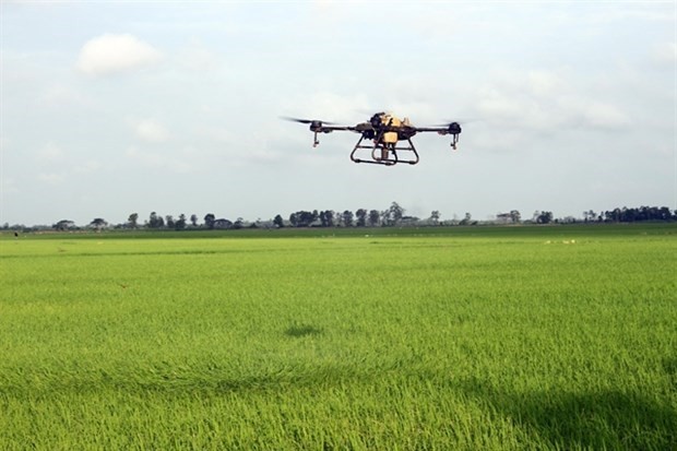 WB-Funded Project Makes Positive Impact on Soc Trang's Rice Industry WB-Funded Project Makes Positive Impact on Soc Trang's Rice Industry