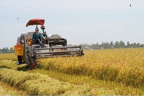 Agriculture has an important role to play in the cooperative ties between Vietnam and Canada. (Photo: VNA) Agriculture has an important role to play in the cooperative ties between Vietnam and Canada. (Photo: VNA)