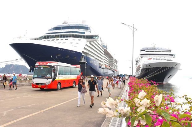 Cruise Ships To Bring Over 80,000 Foreign Tourists to Quang Ninh This 2024 Cruise Ships To Bring Over 80,000 Foreign Tourists to Quang Ninh This 2024