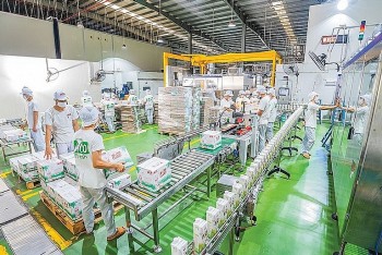 Vietnam News Today (Jan. 15): Vietnamese-made Products: Choice of Top Global Markets