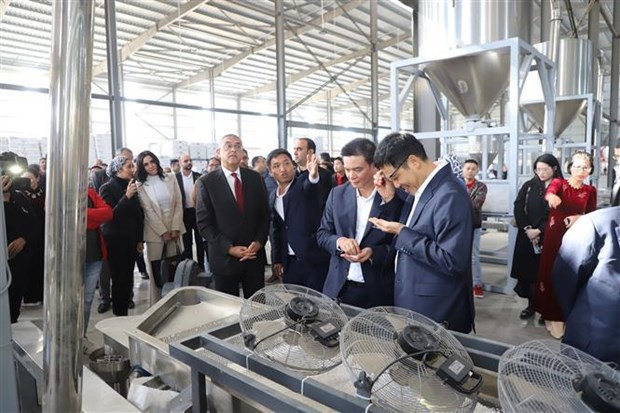 First Factory of A Vietnamese Enterprise Inaugurated in Egypt First Factory of A Vietnamese Enterprise Inaugurated in Egypt