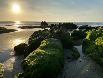 Co Thach Beach – A Mesmerizing Destination For A Spring Trip
