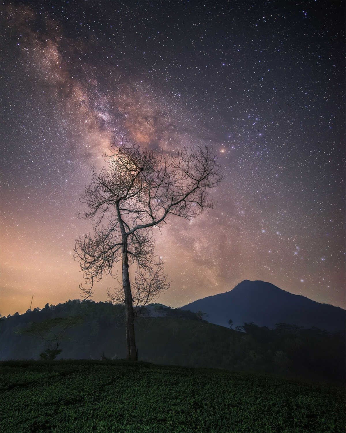 Witness The Dreamy Milky Way In Cu Nhu San Mountain Peak Witness The Dreamy Milky Way On Cu Nhu San Mountain Peak