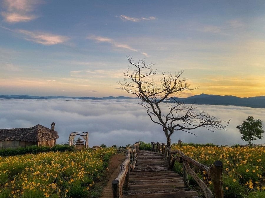 Booking.com: Top 10 Friendliest Destinations In Vietnam In 2024 Booking.com: Top 10 Friendliest Destinations In Vietnam In 2024
