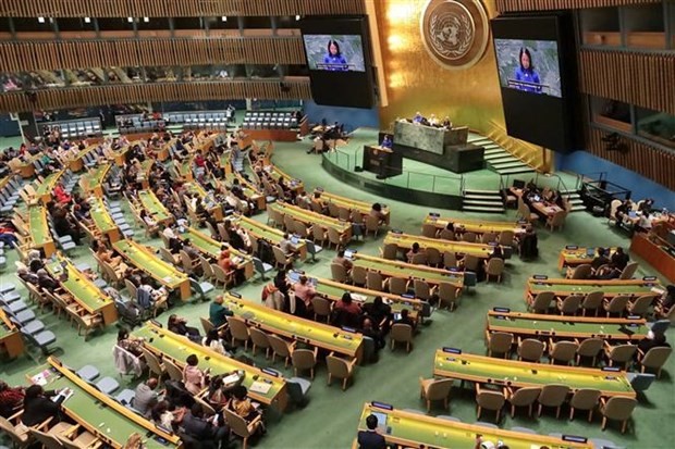 At the 68th session of the Commission on the Status of Women in New York. Photo: VNA At the 68th session of the Commission on the Status of Women in New York. Photo: VNA