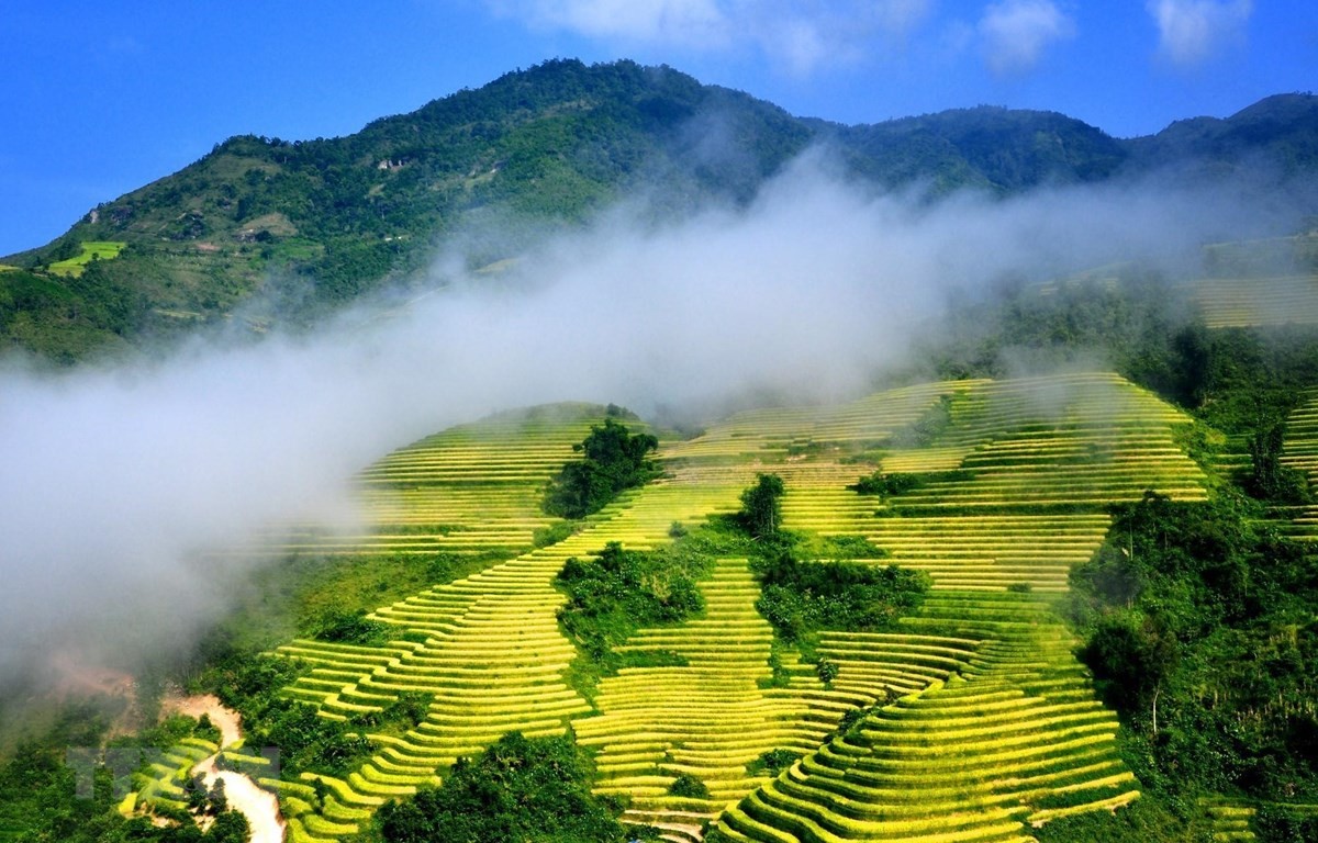 Enjoy A Spring Trip To The Highlands Of Northern Vietnam Enjoy A Spring Trip To The Highlands Of Northern Vietnam