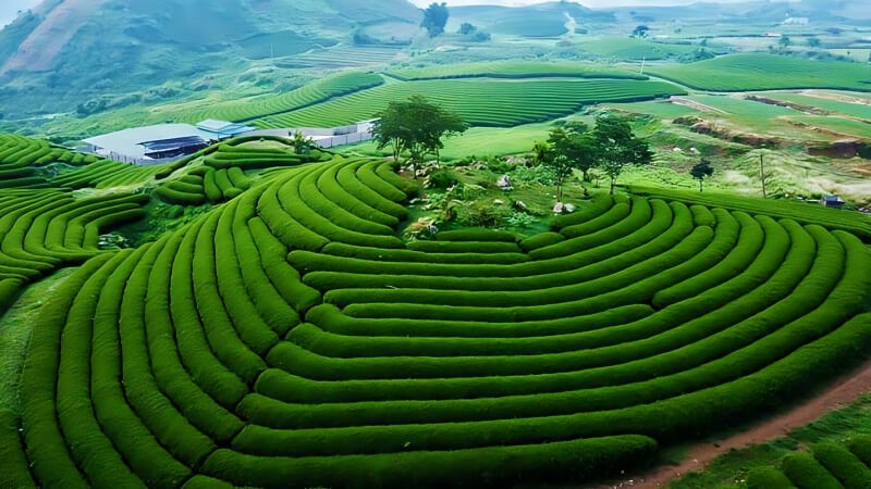 Enjoy A Spring Trip To The Highlands Of Northern Vietnam Enjoy A Spring Trip To The Highlands Of Northern Vietnam
