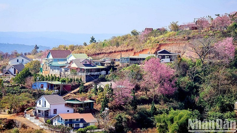 Da Lat is one of the top nature destinations in Asia. Da Lat is one of the top nature destinations in Asia.