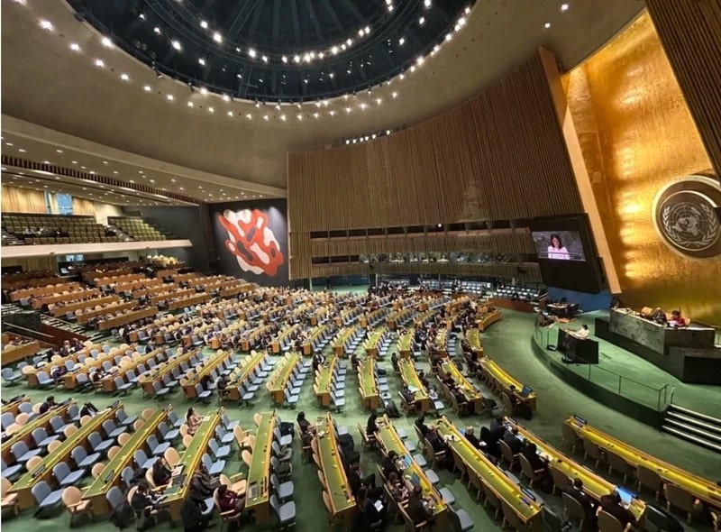 The United Nations Declares 2025 As The The United Nations Declares 2025 As The