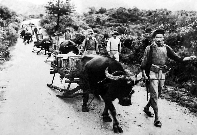 Public screening of documentaries marking Dien Bien Phu Victory opens in Hanoi (Photo: VNA) Public screening of documentaries marking Dien Bien Phu Victory opens in Hanoi (Photo: VNA)