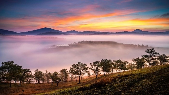 The beauty of Da Lat, Lam Dong The beauty of Da Lat, Lam Dong