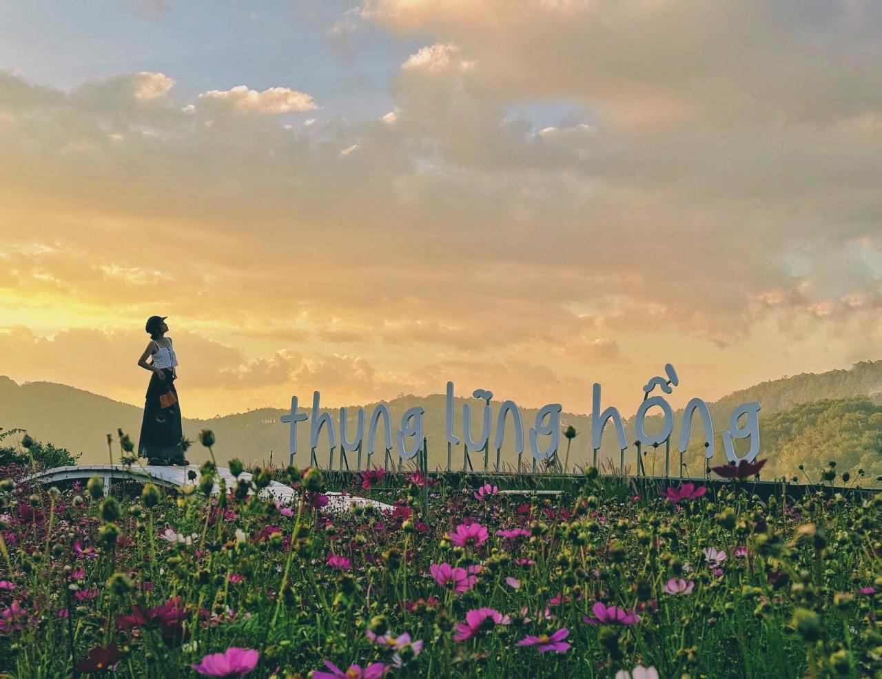 Explore The Petite Rose Valley In The Heart Of Da Lat Explore The Petite Rose Valley In The Heart Of Da Lat