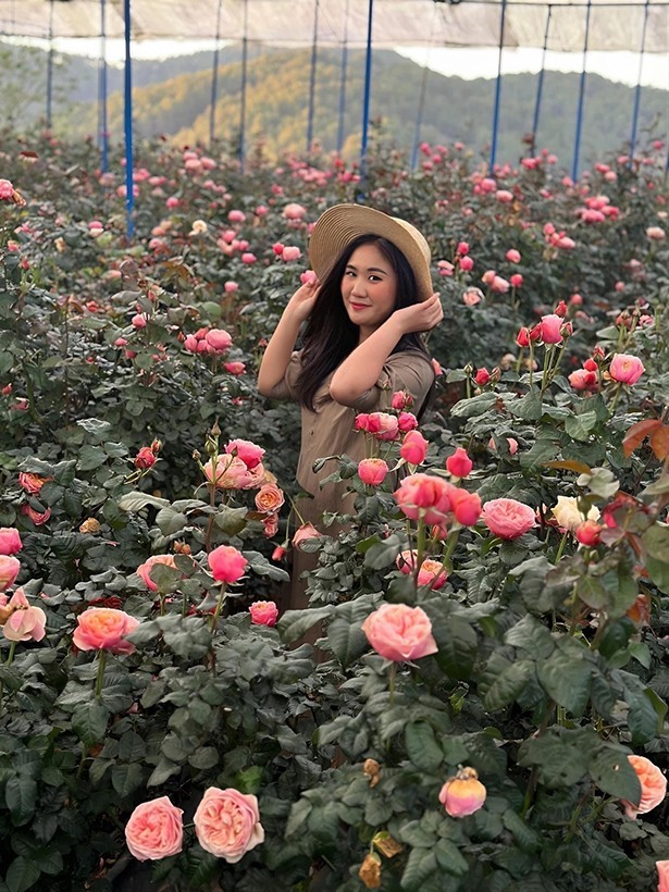 Explore The Petite Rose Valley In The Heart Of Da Lat Explore The Petite Rose Valley In The Heart Of Da Lat