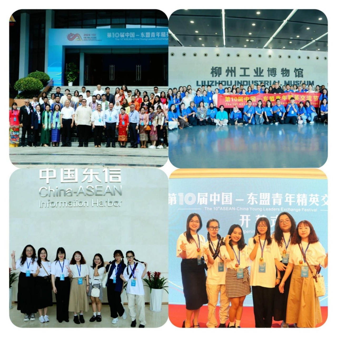 the Viet Nam Union of Friendship Organizations sent a delegation of seven delegates to attend the 10th AEAN-China Young Leaders Exchange Festival the Viet Nam Union of Friendship Organizations sent a delegation of seven delegates to attend the 10th AEAN-China Young Leaders Exchange Festival