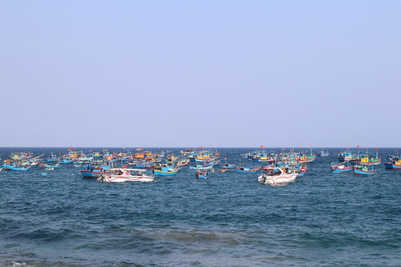 Visit The Most Beautiful Fishing Villages In Binh Dinh Visit The Most Beautiful Fishing Villages In Binh Dinh