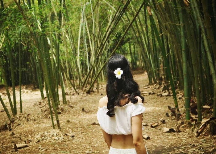Explore Phu An Bamboo Village – The Unique Green Space In Vietnam Explore Phu An Bamboo Village – The Unique Green Space In Vietnam