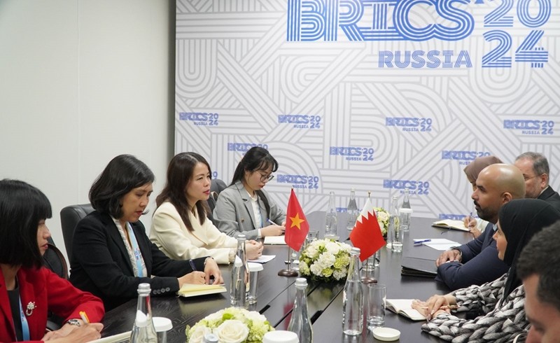 Vietnam Raises 3 Proposals at BRICS Dialogue Vietnam Raises 3 Proposals at BRICS Dialogue