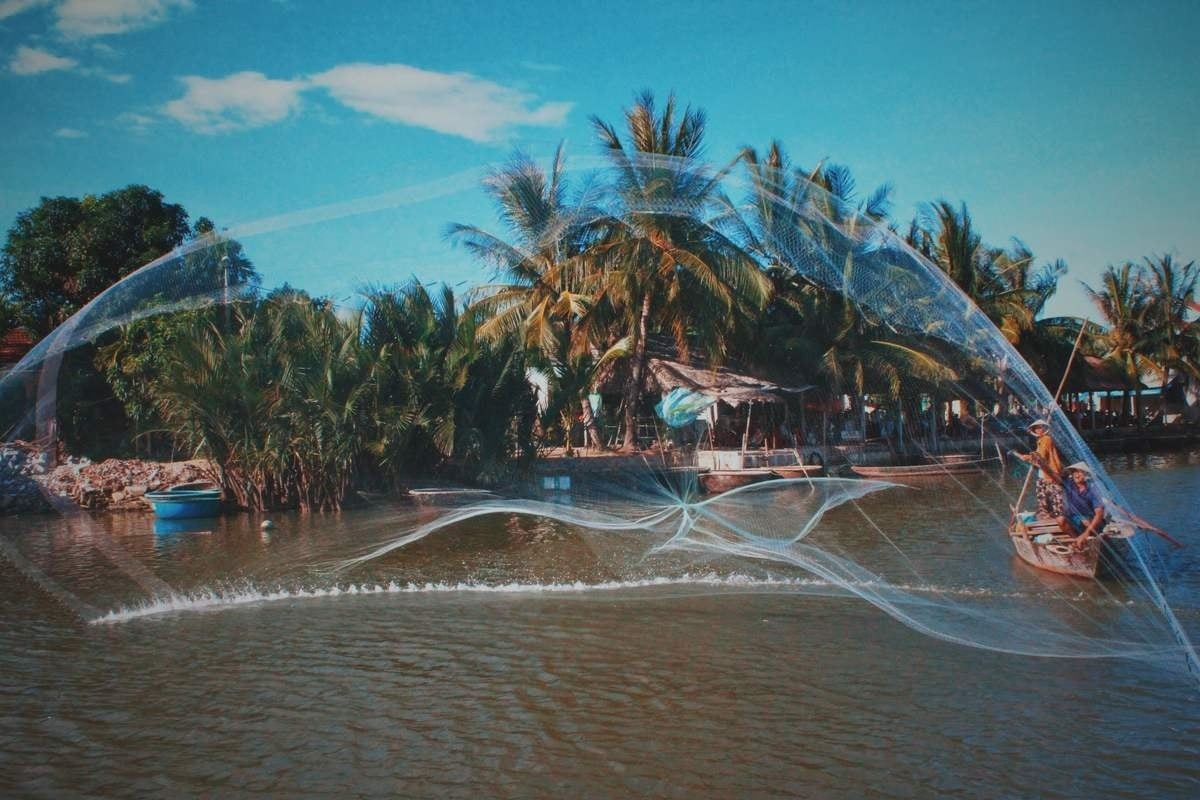 Tripadvisor: Vietnam Voted To Have The Most Exciting Boat Travel Experience Tripadvisor: Vietnam Voted To Have The Most Exciting Boat Travel Experience