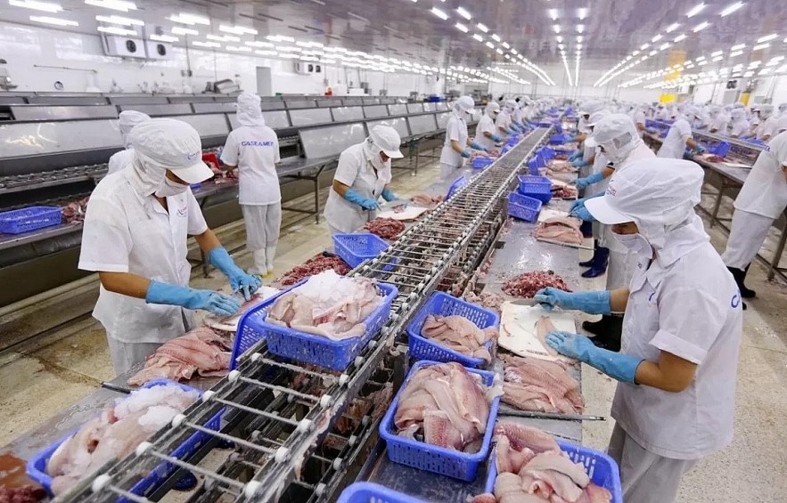 With the recognition of market economy status, domestic enterprises will be able to remove pressures and negative impacts from trade remedy investigations. Photo: VNA With the recognition of market economy status, domestic enterprises will be able to remove pressures and negative impacts from trade remedy investigations. Photo: VNA