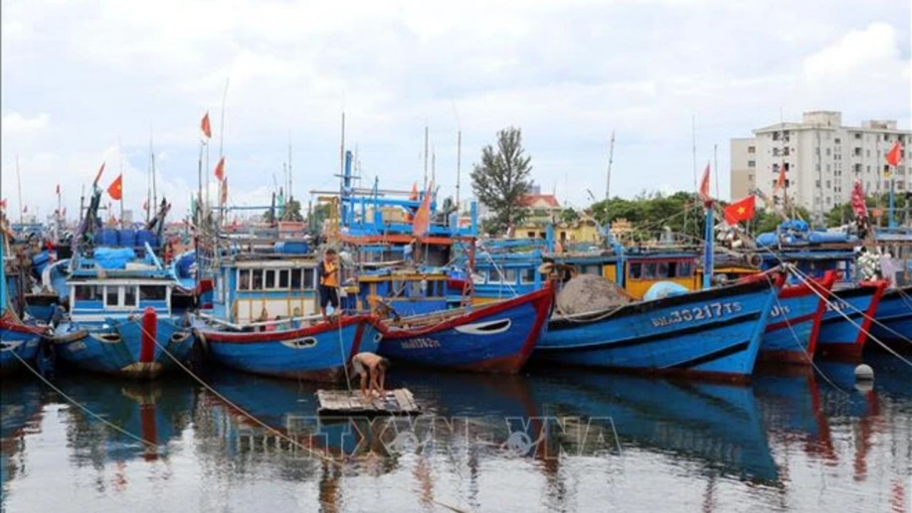 Vessels have been guided to dock in safe shelters (Photo: VNA) Vessels have been guided to dock in safe shelters (Photo: VNA)