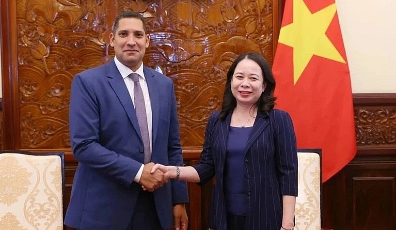 Vice President Vo Thi Anh Xuan (R) and Swedish Ambassador to Vietnam Johan Ndisi. Vice President Vo Thi Anh Xuan (R) and Swedish Ambassador to Vietnam Johan Ndisi.