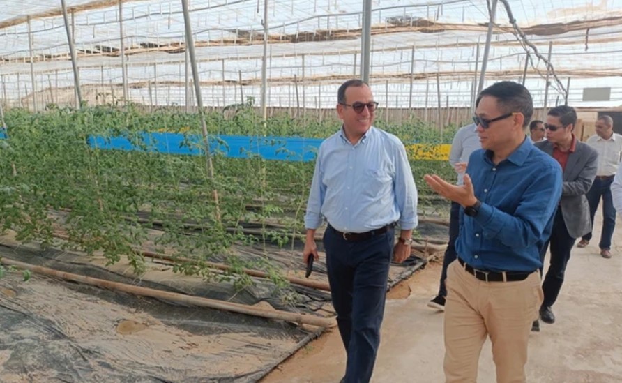 Algeria’s Province Wants to Promote Hi-tech Agriculture with Vietnam Algeria’s Province Wants to Promote Hi-tech Agriculture with Vietnam