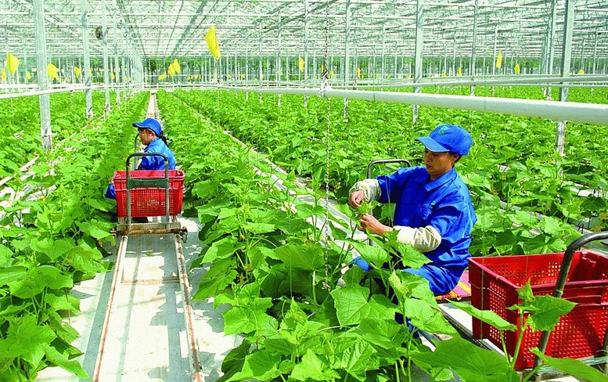 Vietnam - Australia Partner for Sustainable Agriculture and Workforce Development Vietnam - Australia Partner for Sustainable Agriculture and Workforce Development