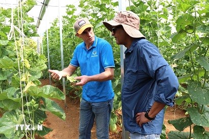 French Newspaper Applauds Son La's Ecological Agriculture French Newspaper Applauds Son La's Ecological Agriculture