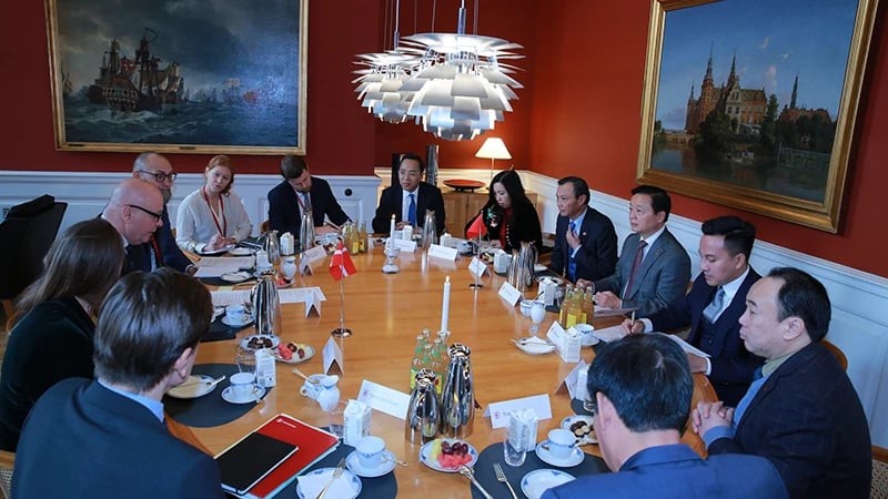 Deputy Prime Minister Tran Hong Ha meets with Speaker of the Danish Parliament Soren Gade. (Photo: VGP)