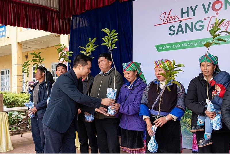 Distributing doi tree saplings Distributing doi tree saplings