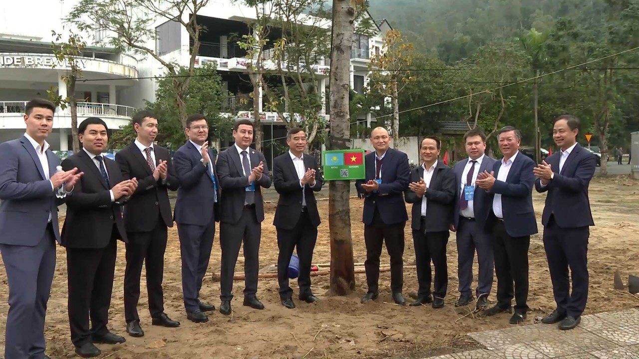 More Than 150 International Delegates Plant Friendship Trees In Da Nang More Than 150 International Delegates Plant Friendship Trees In Da Nang