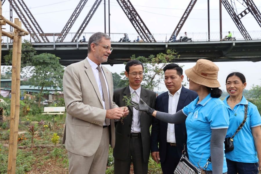 The French Ambassador engages in discussions with residents about the playground located at the base of Long Bien Bridge and the various plants and herbs cultivated nearby. The French Ambassador engages in discussions with residents about the playground located at the base of Long Bien Bridge and the various plants and herbs cultivated nearby.