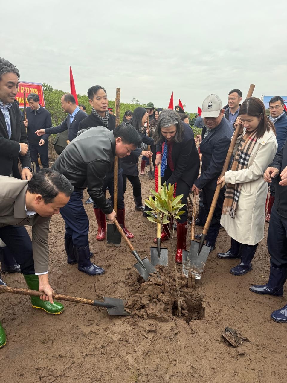 UNDP Resident Representative Joins Tree Planting Festival in Thai Binh UNDP Resident Representative Joins Tree Planting Festival in Thai Binh