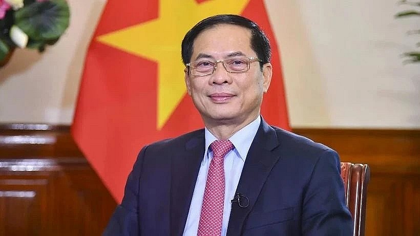Deputy Prime Minister Bui Thanh Son will lead the task force. (Photo: VNA) Deputy Prime Minister Bui Thanh Son will lead the task force. (Photo: VNA)