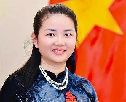 Vietnamese Ambassador to Mozambique Tran Thi Thu Thin (Photo: VNA) Vietnamese Ambassador to Mozambique Tran Thi Thu Thin (Photo: VNA)