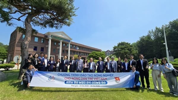 The delegation from the Central Committee of the Ho Chi Minh Communist Youth Union participated in the Advanced Agricultural Training and Vietnam – Republic of Korea (RoK) Rural Youth Exchange Program. (Photo: International Department, Central Committee of the Ho Chi Minh Communist Youth Union)